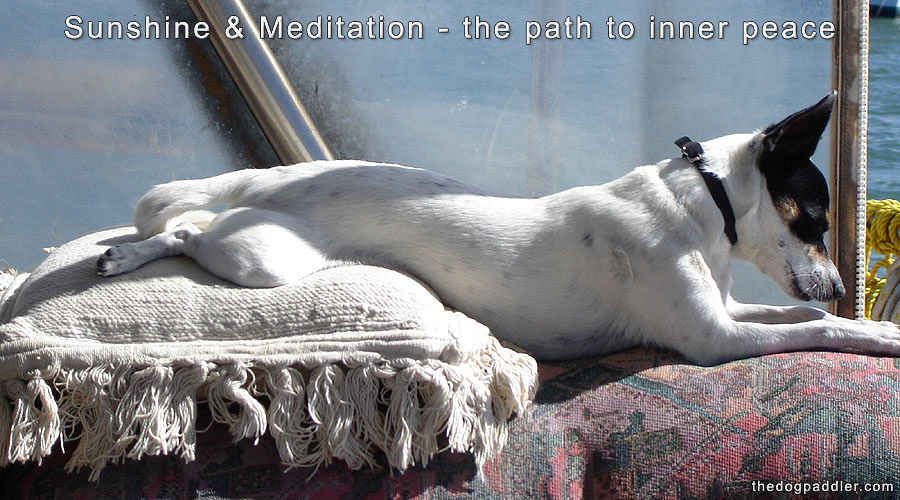 081111_PennySunshine_Meditation_900x500_opt8ADV.jpg