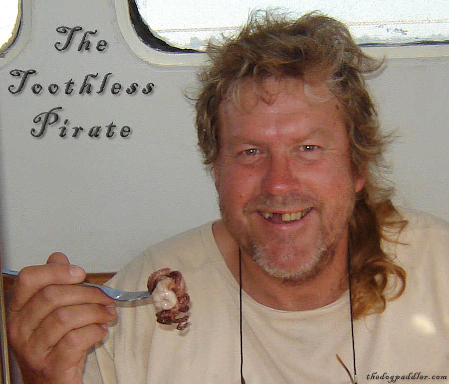 081121_Rodney_toothlessPirate_900x900_opt8ADV.jpg