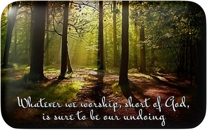 17_Forest_worship_MrBedfortFont_720x480_opt9_button_border1.jpg