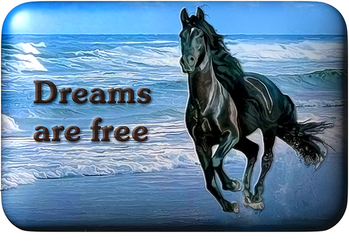 19_Horse_running_beach_painted_full_720x480_button_border1a.jpg