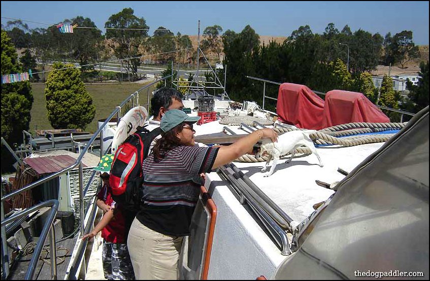 onyacht34.jpg