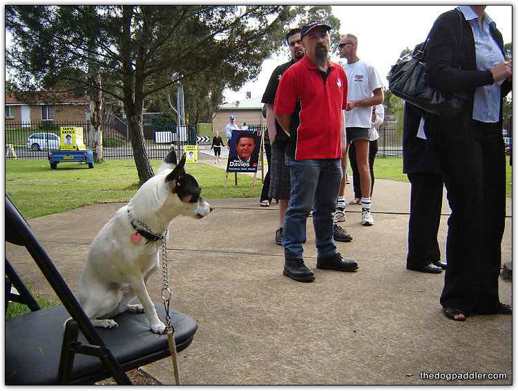 06_080913_Penny_onChair_checking_theLine_733x550_opt8ADV.jpg