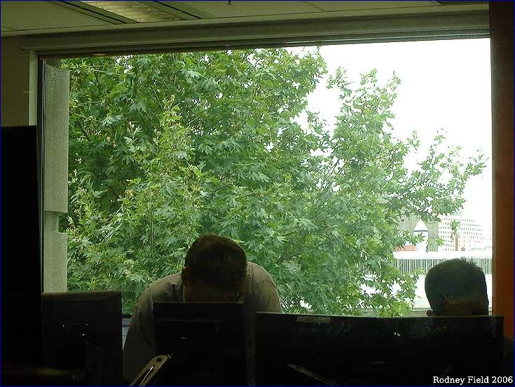 09_out_the_window.jpg