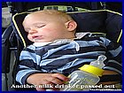 01_MilkDrinker_onTrain.jpg