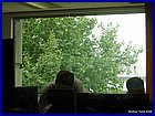 09_out_the_window.jpg