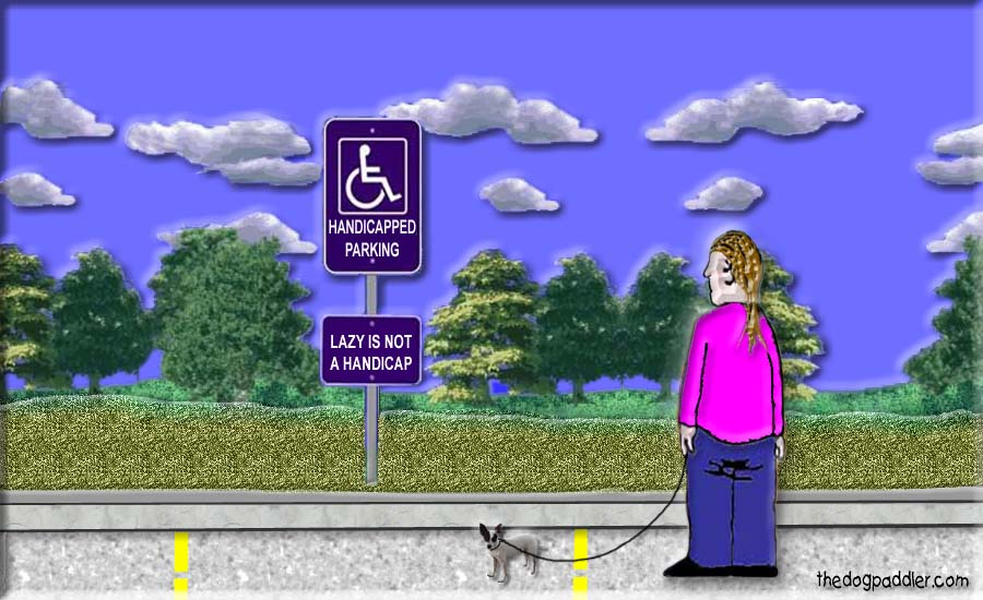 09Trouble_at_theCarpark_900x550_opt5.jpg