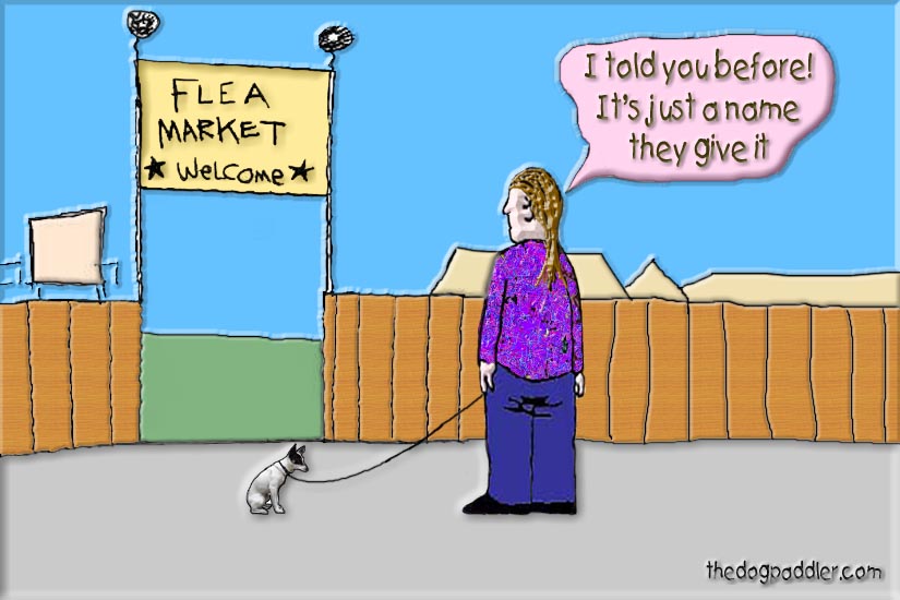 06Trouble_at_theMarkets_825x550_opt6.jpg