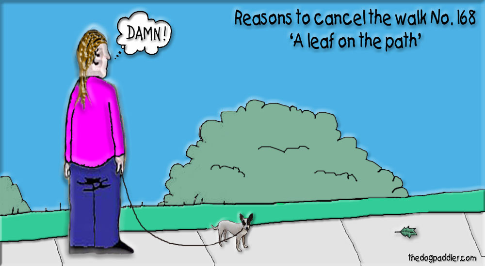 07TroubleOntheWalk_1000x550_opt8.jpg