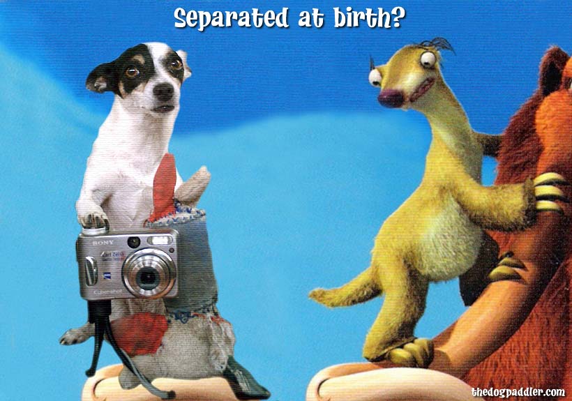 35SeparatedAtBirth1_820x550_opt5.jpg