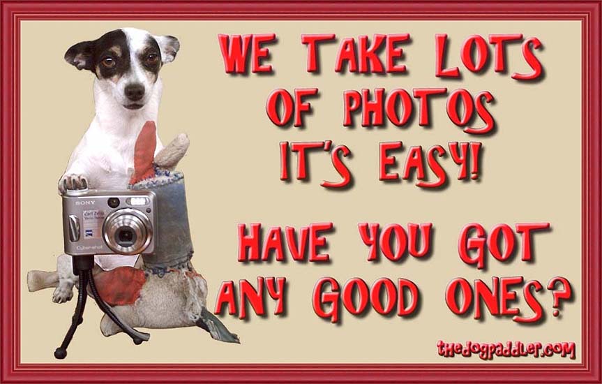 36Photographer_framed_863x550_opt5.jpg