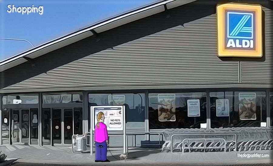 48Shopping_900x550.jpg
