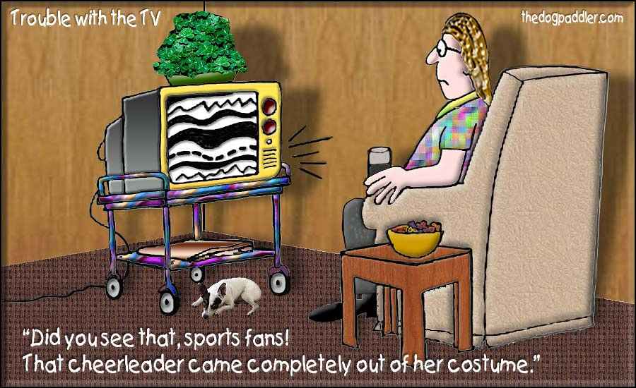 55Trouble_with_theTV.jpg