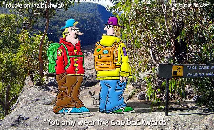 59Trouble_on_theBushWalk.jpg