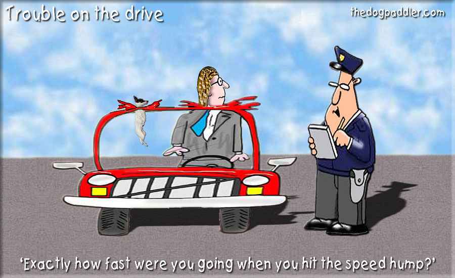 096Trouble_on_theDrive.jpg