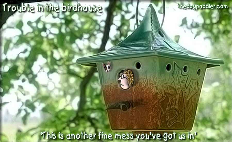 102Trouble_in_theBirdhouse.jpg